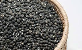 Decrease in production of urad; Farmers nervous | उडदाच्या एकरी उत्पादनात घट; शेतकरी चिंताग्रस्त Decrease in production of urad; Farmers nervous | उडदाच्या एकरी उत्पादनात घट; शेतकरी चिंताग्रस्त