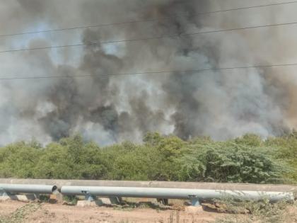 Grass fire on open plot in Drongiri node on Uran Panvel route | उरण-पनवेल मार्गावरील द्रोणगिरी नोडमधील मोकळ्या भूखंडावरील गवताला आग 