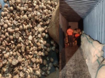 Betel nut stock worth Rs 32 crore seized from JNPA port by way of smuggling | जेएनपीए बंदरात मोठी कारवाई! आयात करण्यात आलेला ३२ कोटी रुपयांचा सुपारी साठा जप्त