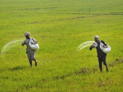 Urea will be distributed in the presence of Agriculture Department employees | कृषी विभागातील कर्मचाऱ्यांच्या उपस्थितीत होणार युरियाचे वितरण