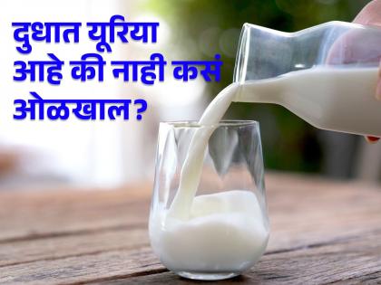 Urea in milk is dangerous for kidney and liver, FSSAI told how to recognize adulteration! | किडनी आणि लिव्हरसाठी घातक आहे दुधात टाकलेला यूरिया, FSSAI ने सांगितलं भेसळ कशी ओळखाल!