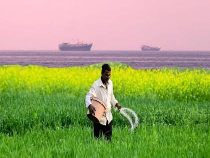 इराण युद्धाची भारताने चुकवली किंमत, २५ लाख टन युरियाची दुप्पट दरात केली खरेदी; बाजारपेठेत खळबळ - Marathi News | India paid the price of the Iran war, bought 2.5 million tonnes of urea at double the price; effect on Globle Market | Latest national News at Lokmat.com