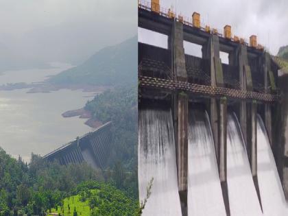 Heavy rains in Satara district Koyna is half full, discharge from Urmodi dam begins | सातारा जिल्ह्यात जून महिन्यातच पावसाची मोठी मजल; कोयना अर्धे भरले, उरमोडी धरणातून विसर्ग सुरु Heavy rains in Satara district Koyna is half full, discharge from Urmodi dam begins | सातारा जिल्ह्यात जून महिन्यातच पावसाची मोठी मजल; कोयना अर्धे भरले, उरमोडी धरणातून विसर्ग सुरु