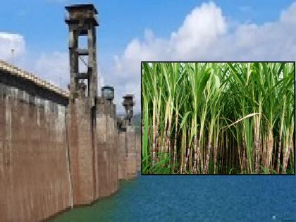 Farmers should not plant more sugarcane as the leakage of Dudhganga Dam in Kolhapur will be removed, Appeal of Irrigation Department | Kolhapur: धरणाची गळती काढायची हाय; जास्त ऊस लावू नका, पाटबंधारे प्रशासनाचे आवाहन