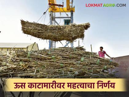 Sugarcane weighing scam stop; Now government scales will be installed in the factory area | कारखानदारांच्या ऊस काटामारीला चाप; आता कारखाना कार्यक्षेत्रात बसणार शासकीय वजनकाटा Sugarcane weighing scam stop; Now government scales will be installed in the factory area | कारखानदारांच्या ऊस काटामारीला चाप; आता कारखाना कार्यक्षेत्रात बसणार शासकीय वजनकाटा