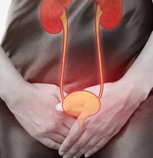 महिलांना सतत होणाऱ्या युरीन इन्फेक्शनची पाहा कारणं आणि उपाय, UTI बेतू शकते जीवावर-किडनीला धोका