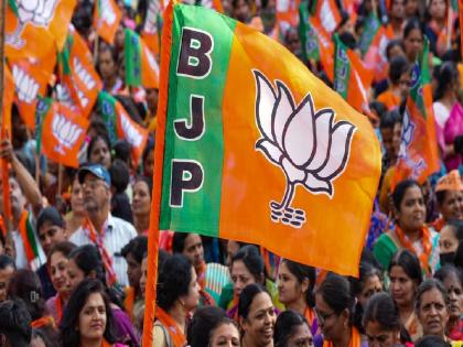 BJP started preparations for Lok Sabha as well as Legislative Assembly | भाजप लागली लोकसभेसह विधानसभेच्याही तयारीला; निवडणूक प्रमुखांची केली नियुक्ती