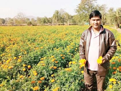 Kalpesh Patil from Ambeda Lakhpati from Zendu Agriculture | नोकरी न करता कल्पेश पाटील या तरूणाने घेतली यशस्वी झेप; वर्षभरात झाला लखपती