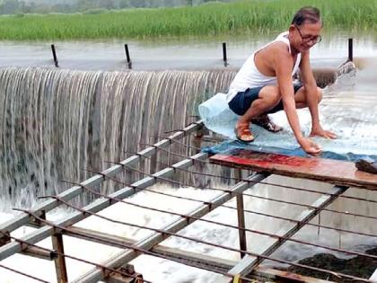 Farmers fishing in the castle; Jobs are also available | वाड्यात शेतकऱ्यांची मासेमारीची लगबग; रोजगारही होतो उपलब्ध