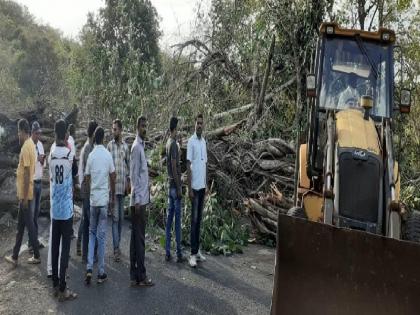 A banyan tree caught fire in the wildfire fell, traffic on the Sangameshwar-Devarukh highway was stopped for two hours | वणव्यात पेटलेले वडाचे झाड कोसळले, संगमेश्वर-देवरुख राज्यमार्गावरील वाहतूक दोन तास ठप्प