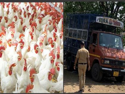 12 lakh worth of goods looted by thieves chickens broiler tempo looted | पुण्यात कोंबडी चोरांचा सुळसुळाट! चोरट्यांनी चक्क कोंबड्यांनी भरलेला टेम्पोच लुटला