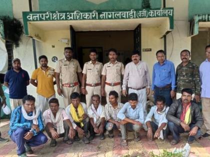 A gang of eight from Madhya Pradesh was arrested at the Pench Tiger Reserve | मध्य प्रदेशातील आठ जणांच्या टोळीला पेंच व्याघ्र प्रकल्पात अटक