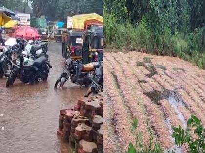 Sindhudurg: वैभववाडीत मुसळधार पाऊस; बाजारपेठ तुंबली, भात शेतीचे मोठे नुकसान