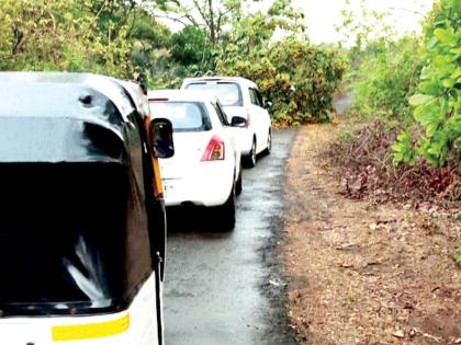 Vaibhavwadi was hit by heavy rains, mango and cashew crops were damaged | वैभववाडीला वादळी पावसाने झोडपले, आंबा, काजू पिकांचे नुकसान; झाड पडून वीजवाहिन्या तुटल्या