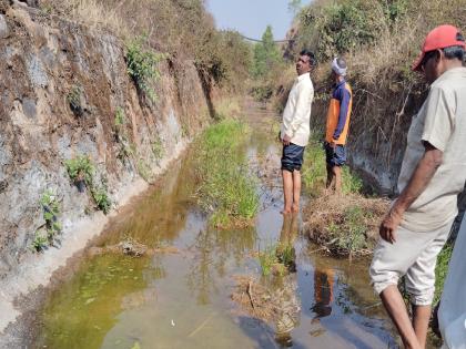 Area under hundreds of acres barren due to poor work of Wakurde Canal Sangli | Sangli: शेकडो एकराखालील क्षेत्र वाकुर्डे कालव्याच्या निकृष्ट कामाने नापीक, भूसंपादनाच्या भरपाईचाही प्रश्न