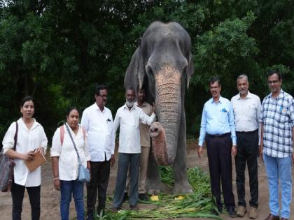वनतारा येथे 'महादेवी'ची तपासणी, २९ नोव्हेंबरला होणार फैसला वनतारा येथे 'महादेवी'ची तपासणी, २९ नोव्हेंबरला होणार फैसला
