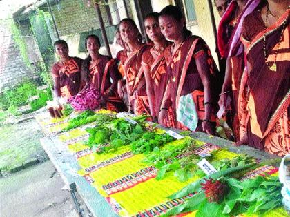 Festival of Haremps on the platform of Navrang; The response of the caterpillars, by using the culinary recipe, also explained | नवरंगच्या व्यासपिठावर रानभाज्यांचा महोत्सव; खवैय्यांचा प्रतिसाद, पाक कृतीही दिली समजावून