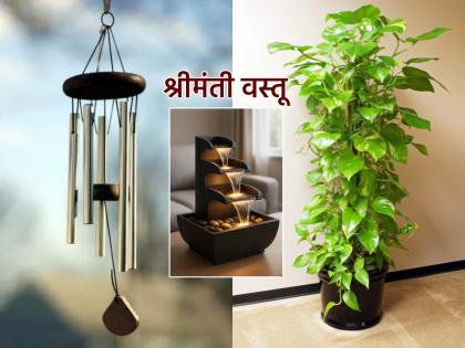 Vastu Tips: तिजोरीत स्थिर लक्ष्मी हवी? घरात करा हे ६ बदल, पैसा टिकेल आणि वाढेलही!