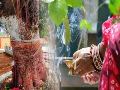 Sangli widow women were also invited to worship the banyan tree | या गं या विधवा सयांनो, वडपूजनाला; सुवासिनींसारखाच दिला जाणार मान