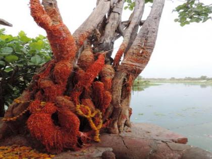 'These' five ancient banyan trees are worshiped for progeny, wealth and prevention of ancestral defects! | संतती, संपत्तीच्या प्राप्तीसाठी आणि पितृदोष निवारणासाठी 'या'पाच पुरातन वटवृक्षांची केली जाते पूजा!