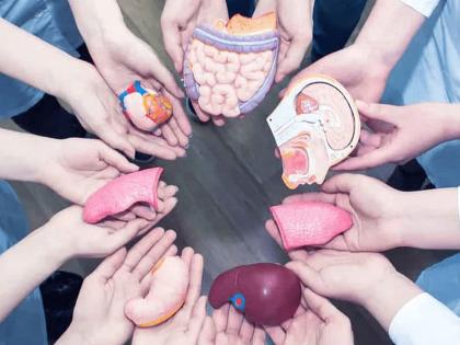 Over 7,000 patients are waiting for a kidney in the state; 1,919 patients need a liver, while 141 need a heart. | राज्यामध्ये तब्बल सात हजारावर रुग्ण किडनीच्या प्रतीक्षेत; १,९१९ रुग्णांना यकृत, तर १४१ जणांना गरज आहे हृदयाची Over 7,000 patients are waiting for a kidney in the state; 1,919 patients need a liver, while 141 need a heart. | राज्यामध्ये तब्बल सात हजारावर रुग्ण किडनीच्या प्रतीक्षेत; १,९१९ रुग्णांना यकृत, तर १४१ जणांना गरज आहे हृदयाची