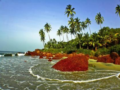 Konkan tourist destinations are the best to enjoy a trip | एन्जॉय करण्यासाठी कोकणातली 'ही' पर्यटन स्थळं आहेत बेस्ट, कमी खर्चात जास्त मजा