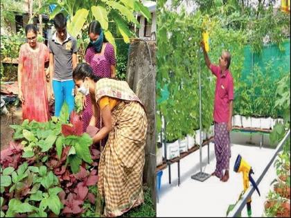 The villagers took advantage of the lockdown, 10,000 families planted vegetables; Now also sold in the market-SRJ | लॉकडाऊनच्या काळात गावकऱ्यांची कमाल; 'द व्हिजिटेबल फार्मिंग चॅलेंज'चं होतंय कौतुक!