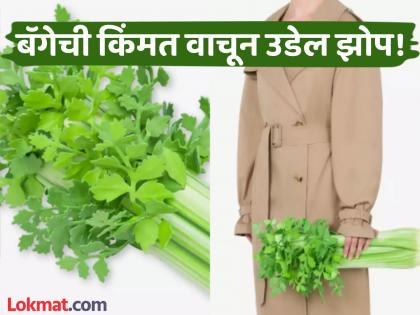 Expensive Moschino celery bag looks like vegetable price will shock you | प्रसिद्ध कंपनीने लॉन्च केली भाजीसारखी दिसणारी बॅग, किंमत इतकी की घेऊ शकाल लक्झरी कार!