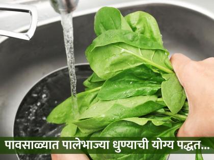 Tips For Cleaning Green Vegetables and Fruits During Monsoon | पावसाळ्यात अशा पद्धतीने स्वच्छ करा पालेभाज्या, दुर्लक्ष करणं पडू शकतं महागात