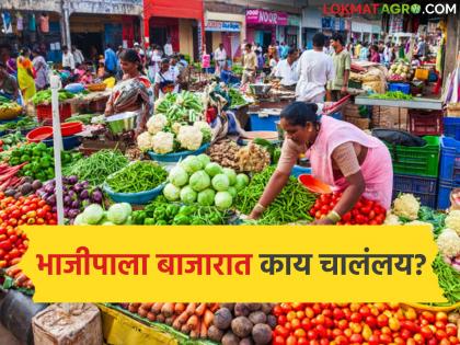 latest news Vegetable Prices Drop: Consequences of the war: Inflation has increased… but why are vegetables ‘cheap’? | Vegetable Prices Drop : युद्धाचा परिणाम: महागाई वाढली… भाजीपाला मात्र ‘स्वस्त’ का? latest news Vegetable Prices Drop: Consequences of the war: Inflation has increased… but why are vegetables ‘cheap’? | Vegetable Prices Drop : युद्धाचा परिणाम: महागाई वाढली… भाजीपाला मात्र ‘स्वस्त’ का?