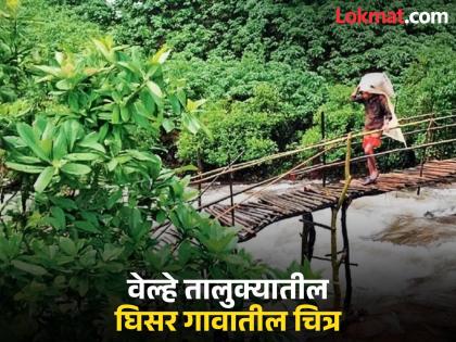 pune news even after the post-independence era, the district's Dhangarwade remains beyond the stream; a life-threatening journey from Sakwa | स्वातंत्र्योत्तर काळानंतरही जिल्ह्यातील धनगरवाडे ओढ्यापलीकडेच;साकवावरून जीवघेणा प्रवास pune news even after the post-independence era, the district's Dhangarwade remains beyond the stream; a life-threatening journey from Sakwa | स्वातंत्र्योत्तर काळानंतरही जिल्ह्यातील धनगरवाडे ओढ्यापलीकडेच;साकवावरून जीवघेणा प्रवास