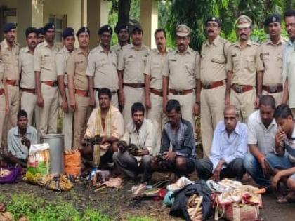  Seven people seized in Vengurlate, cash seized with cash, and seized three lakh worth of cash | वेंगुर्लेत जिवंत कासवांसह चंदनाची लाकडे जप्त, सात जण ताब्यात, सव्वा तीन लाखांचा मुद्देमाल जप्त