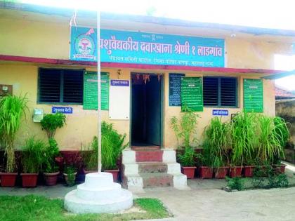 The 'ISO' to 40 veterinary hospitals in Nagpur district | नागपूर जिल्ह्यातील ४० पशुरुग्णालयांना ‘आयएसओ’चा मान