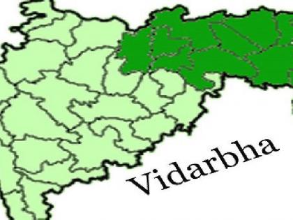 break on the discussion over development of vidarbha | विदर्भाच्या प्रश्नांवरील मंथनालादेखील लागला ‘ब्रेक’