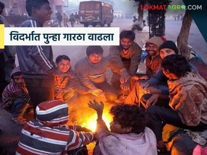 latest news Vidarbha Cold Wave: Cold wave conditions have increased again in Vidarbha; Read the warning of cold wave for the next two days in detail | Vidarbha Cold Wave : विदर्भात पुन्हा गारठा वाढला; पुढील दोन दिवस थंड लाटेचा इशारा वाचा सविस्तर latest news Vidarbha Cold Wave: Cold wave conditions have increased again in Vidarbha; Read the warning of cold wave for the next two days in detail | Vidarbha Cold Wave : विदर्भात पुन्हा गारठा वाढला; पुढील दोन दिवस थंड लाटेचा इशारा वाचा सविस्तर