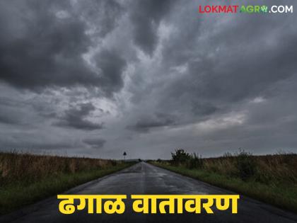 latest news Vidarbha Monsoon Update: Monsoon is over, but cloudy weather is likely in Vidarbha before Diwali | Vidarbha Monsoon Update : मान्सून संपला, पण दिवाळीपूर्वी विदर्भात ढगाळ वातावरणाची शक्यता latest news Vidarbha Monsoon Update: Monsoon is over, but cloudy weather is likely in Vidarbha before Diwali | Vidarbha Monsoon Update : मान्सून संपला, पण दिवाळीपूर्वी विदर्भात ढगाळ वातावरणाची शक्यता