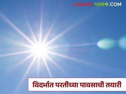 latest news Vidarbha Monsoon Update: Monsoon is on its way back from Vidarbha; Temperatures are rising again! | Vidarbha Monsoon Update : विदर्भातून मान्सून परतीच्या मार्गावर; पुन्हा तापमान वाढतेय! latest news Vidarbha Monsoon Update: Monsoon is on its way back from Vidarbha; Temperatures are rising again! | Vidarbha Monsoon Update : विदर्भातून मान्सून परतीच्या मार्गावर; पुन्हा तापमान वाढतेय!