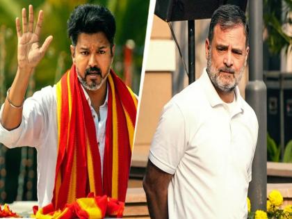 तामिळनाडूत विजय होणार मुख्यमंत्री; काँग्रेसची पाठिंबा देण्याची तयारी, पण त्याबदल्यात काय हवं? - Marathi News | Power formation in Tamil Nadu is gaining momentum, the Thalapathy Vijay will be CM; Congress Ready to support, but what is the condition? | Latest national News at Lokmat.com