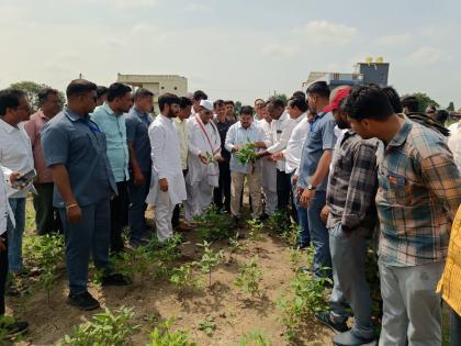 opposition leader vijay wadettiwar in washim and meet farmers will present crop conditions in front of govt | विरोधी पक्षनेते बांधावर; पीक परिस्थिती शासनदरबारी मांडणार!