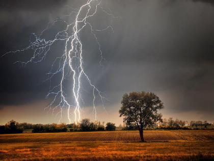 Four injured by lightning strike in Mankapur; Hospitalized for treatment | मानकापूर येथे वीज पडून चौघे जखमी; उपचारार्थ रुग्णालयात दाखल