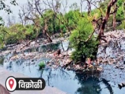 No one is paying attention to the drains within the forest department limits | वनविभागाच्या हद्दीतील नाल्यांना कुणीही वाली नाही! No one is paying attention to the drains within the forest department limits | वनविभागाच्या हद्दीतील नाल्यांना कुणीही वाली नाही!