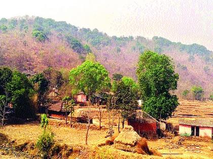 Success in preventing forests from Konkan | कोकणातील जंगल वणवे रोखण्यात यश