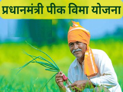 Three lakh 40 thousand 320 farmers of Sangli district neglect the crop insurance scheme | एक रुपयात पीकविमा, तरीही सांगली जिल्ह्यातील साडेतीन लाख शेतकऱ्यांचे दुर्लक्षच