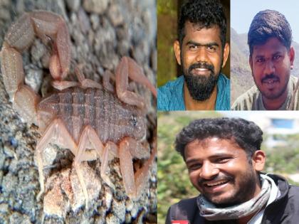 Researchers at the Thackeray Wildlife Foundation have discovered two new species of Scorpions | ठाकरे वाईल्डलाईफ फाऊंडेशनच्या संशोधकांची भरारी, विंचवाच्या दोन नवीन प्रजातींचा लावला शोध