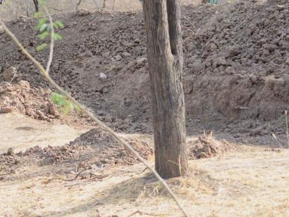 Can you spot the leopard in this photo photo goes viral | 'या' फोटोत बिबट्या शोधून शोधून लोक झाले हैराण...पाहा तुम्हाला सापडतोय का?