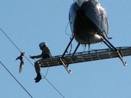 Bird rescue by chopper old video of a man in a helicopter rescuing a bird has gone viral | VIDEO : विजेच्या तारात अडकला होता पक्षी, हेलिकॉप्टरने वाचवला त्याचा जीव