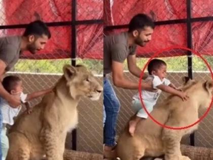 Viral Video: Why is he so stubborn? Dad was putting the baby on the lion's back, look what happened next... | Viral Video : कशासाठी तो हट्ट? चिमुकल्याला सिंहाच्या पाठीवर बसवत होता बाबा, पुढे जे झालं ते बघाच... Viral Video: Why is he so stubborn? Dad was putting the baby on the lion's back, look what happened next... | Viral Video : कशासाठी तो हट्ट? चिमुकल्याला सिंहाच्या पाठीवर बसवत होता बाबा, पुढे जे झालं ते बघाच...