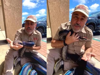 Viral Video This person was hugging a python, users were shocked after seeing the video | Viral Video: हा व्यक्ती अजगराला मिठी मारत होता, व्हिडिओ पाहून यूजर्स झाले थक्क