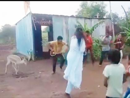 deer dance engrossed in the slogan of harinama contract with children video viral | रामकृष्ण हरि! हरिनामाच्या घोषात हरिणही तल्लीन, बालगोपाळांसह धरला ठेका, व्हिडिओ व्हायरल