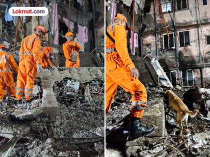 Virar building accident death toll rises to 14 rescue operations still ongoing | विरारमध्ये इमारत कोसळून १४ जणांचा मृत्यू, ३० तासांनंतरही बचाकार्य सुरु; शेजारील चाळही उद्ध्वस्त Virar building accident death toll rises to 14 rescue operations still ongoing | विरारमध्ये इमारत कोसळून १४ जणांचा मृत्यू, ३० तासांनंतरही बचाकार्य सुरु; शेजारील चाळही उद्ध्वस्त
